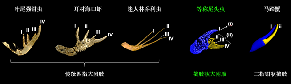 AMD卖爆了！德国零售商8月显卡销量：RX 9070 XT单款抵NVIDIA全系