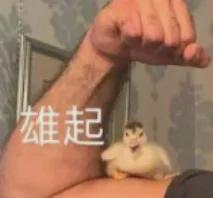 看哪拍哪！丰田新专利用眼神控制摄像头：锁定目标触发一键拍摄